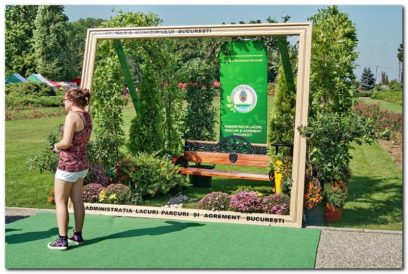 saptamana-xxxviii_027