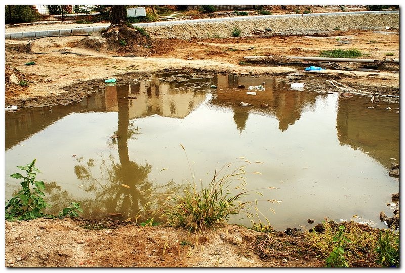 saptamana-xxxviii_043