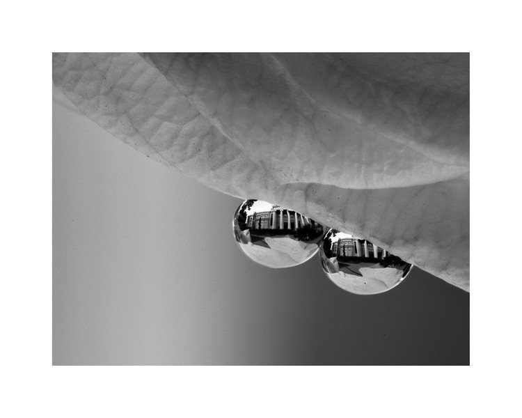 crisanta_maciuceanu_ateneu