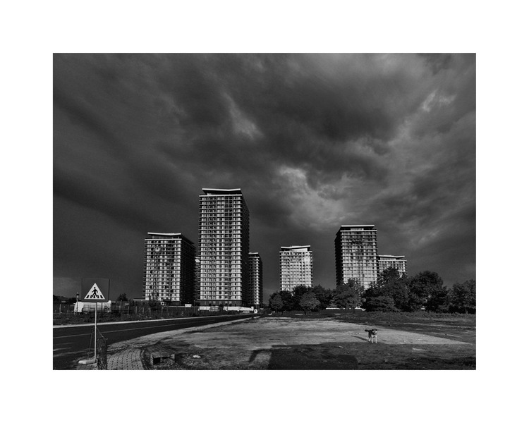 cristian_nyaguly-paznic_la_vacaresti