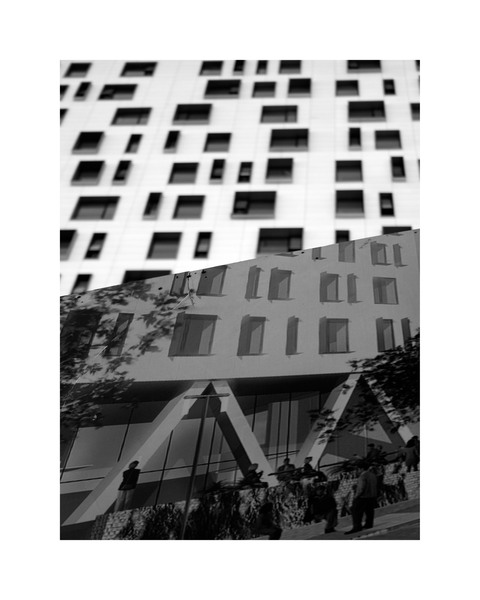 ionut-dipse_plazedral