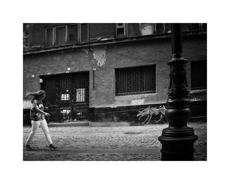 mirelamomanu-injunglaorasului