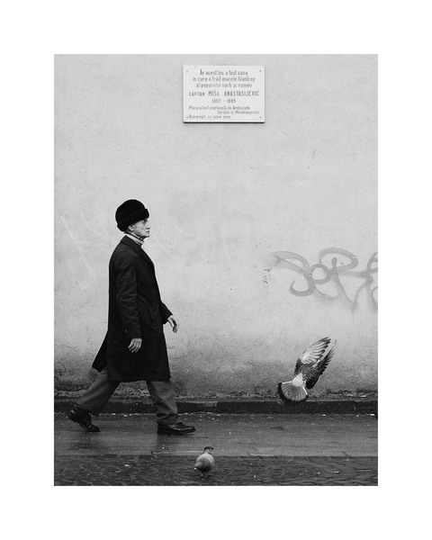 niculae_valeriu_florian_capitan_misa