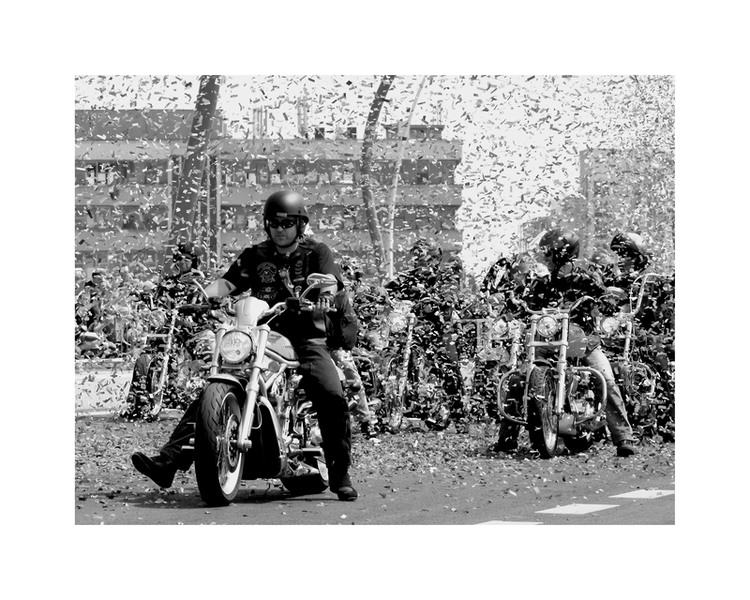 sfetcu-sergiu-vibratii-pe-pod