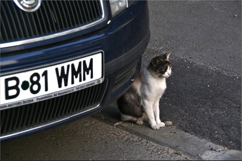 20090729_svornicu_14