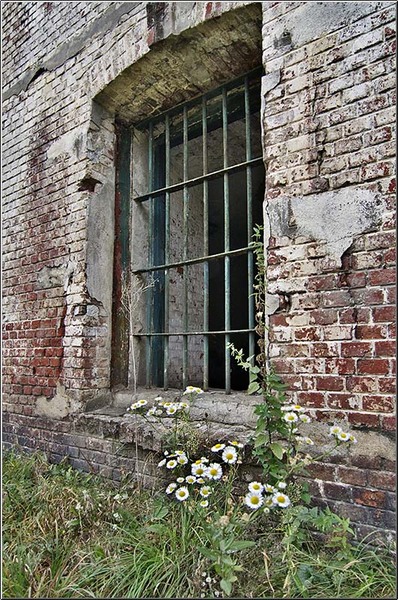 serbanvornicu_fortul13_09