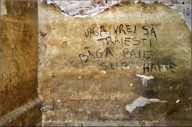 serbanvornicu_fortul13_11