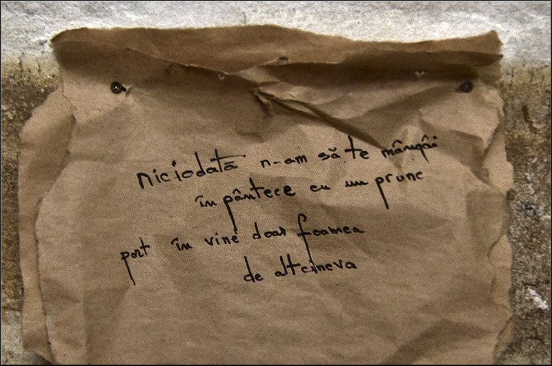 serbanvornicu_fortul13_12