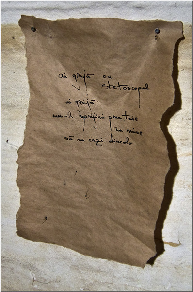 serbanvornicu_fortul13_13