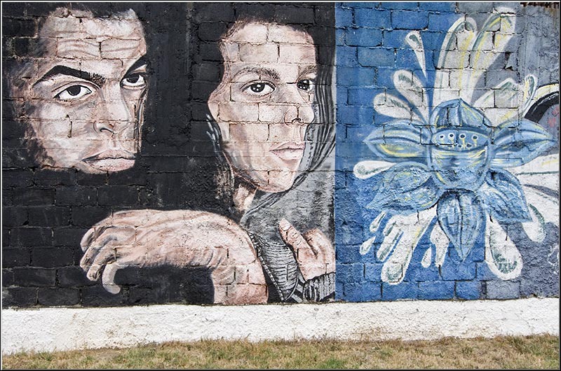 serbanvornicu_fortul13_24