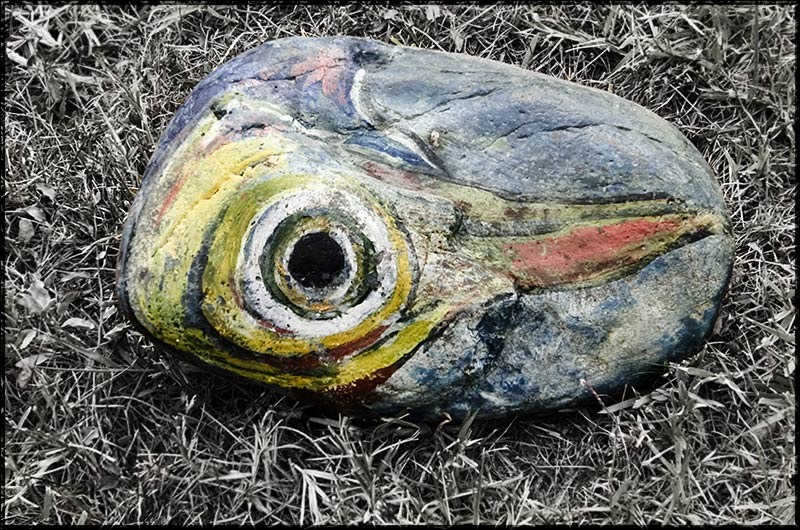 serbanvornicu_fortul13_25