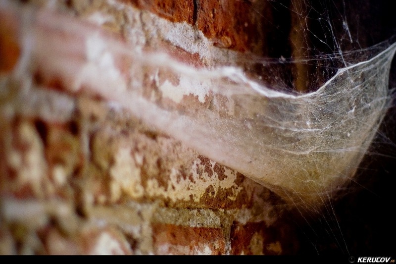 kerucov_2011_excursie_foto_orasul_ro_fortul_13_jilava_24