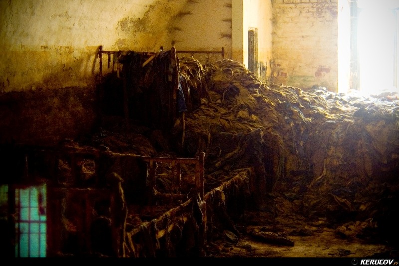 kerucov_2011_excursie_foto_orasul_ro_fortul_13_jilava_26