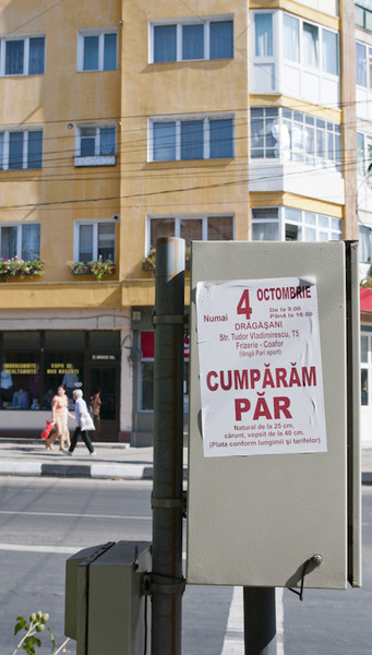 Interzis cheliosilor