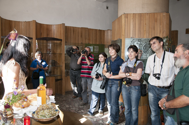 Cea mai iubita planta via