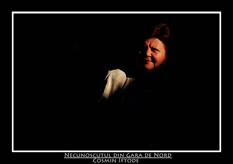 blog-necunoscutul-din-gara-de-nord-21