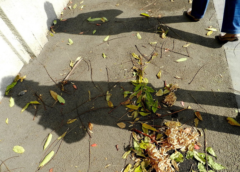 5_omul-cu-doua-umbre