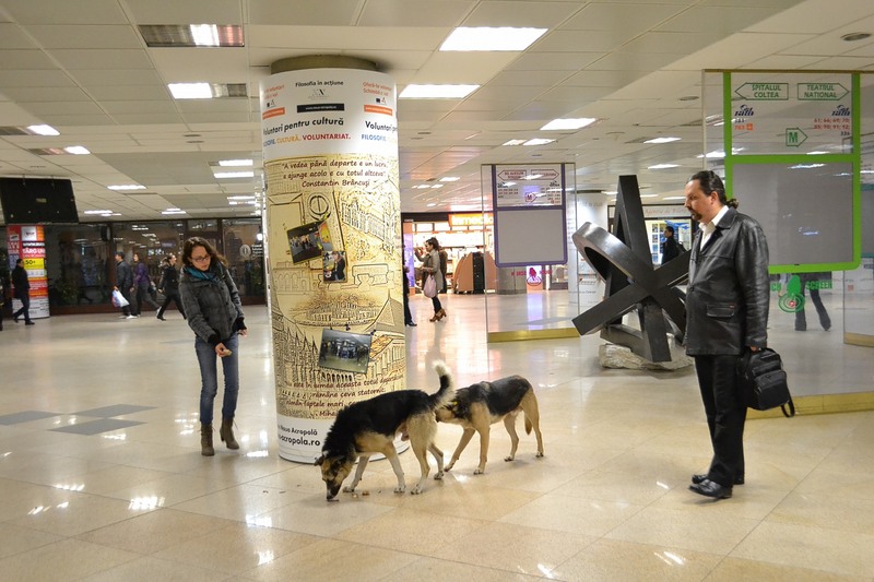 Pasajul Universitatii