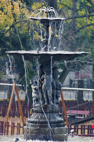 serbanvornicu_stanaregala_002