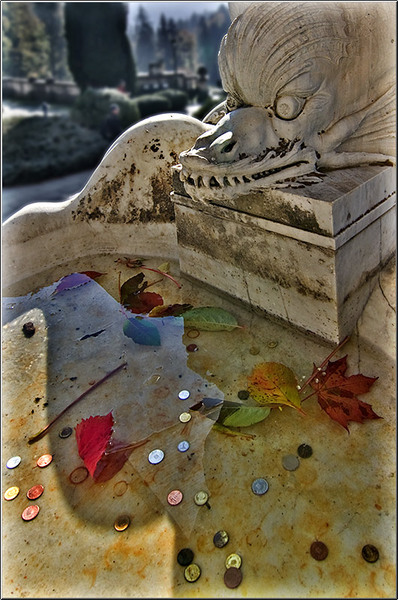 serbanvornicu_stanaregala_011