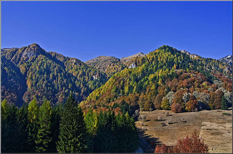 serbanvornicu_stanaregala_016