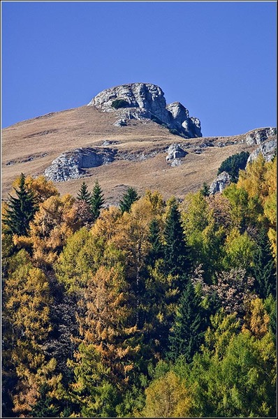 serbanvornicu_stanaregala_019