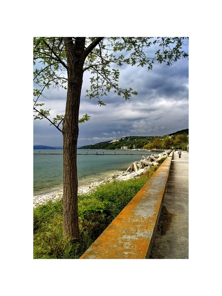 alexandru_dinu-serban_2