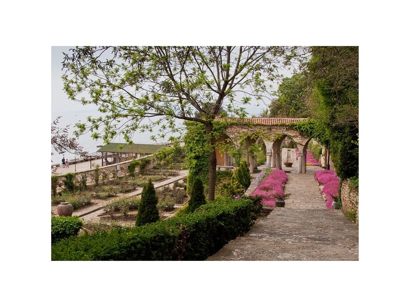 crisanta_maciuceanu_1