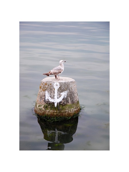 livia-vintila_balcic-2