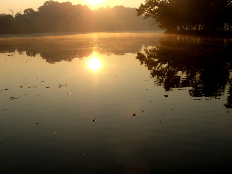 16-luni-dimineata_herastrau