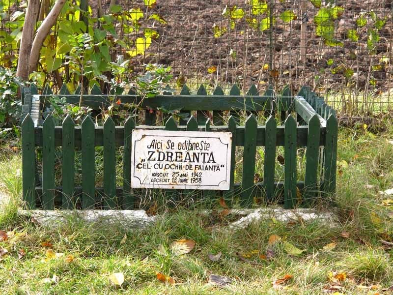 "Zdreanta, cel cu ochii de faianta"