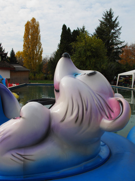 bucurati-va de ultimul soare!