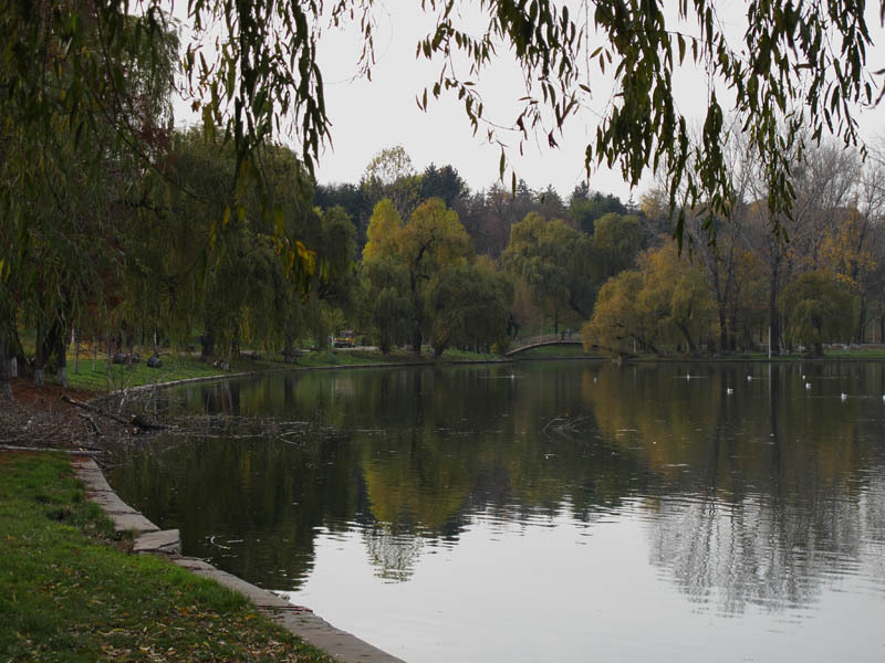 Parcul Tineretului