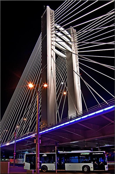 serbanvornicu_11_11_11_015