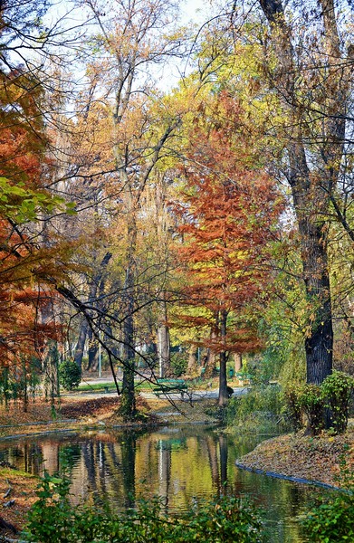 Toamna in parcul Carol