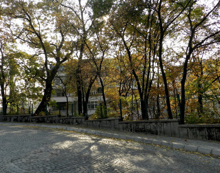 11_strada-patriarhiei