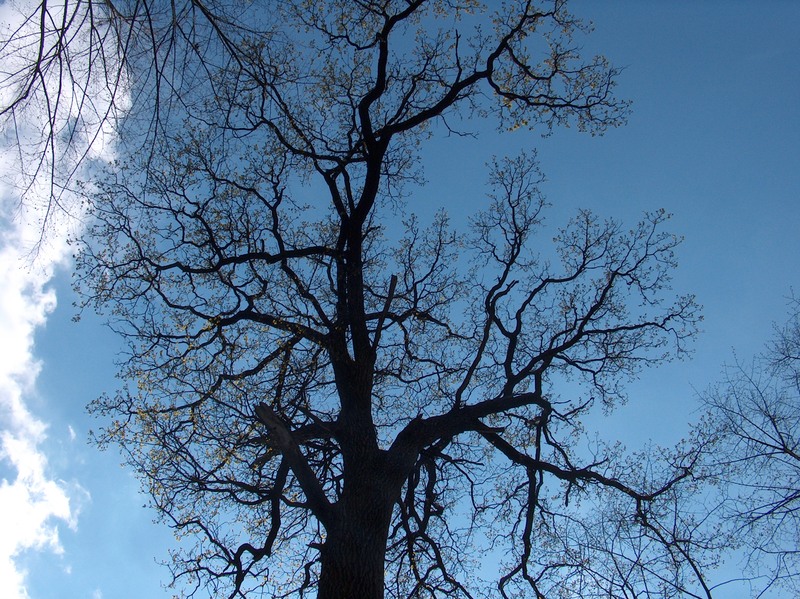 photorome-livart-019