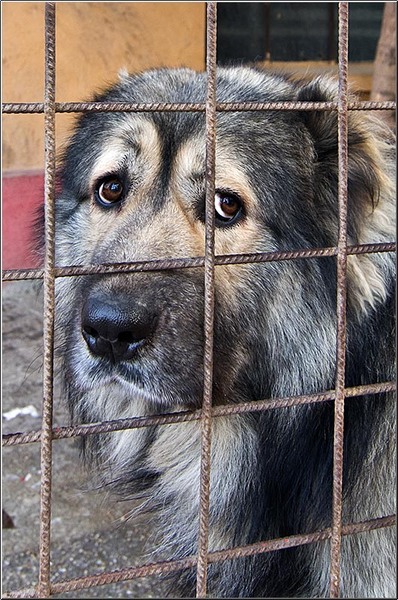 serbanvornicu_turul-fabricilor_14