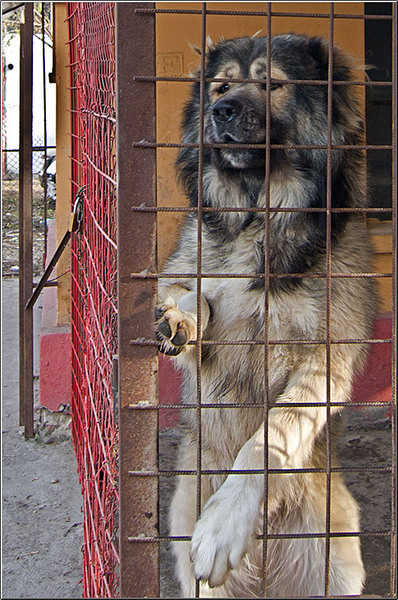 serbanvornicu_turul-fabricilor_15