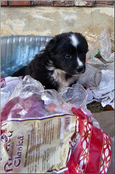 serbanvornicu_turul-fabricilor_42