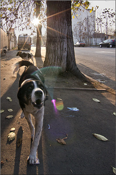 serbanvornicu_turul-fabricilor_44