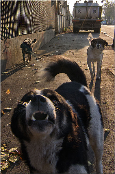 serbanvornicu_turul-fabricilor_45