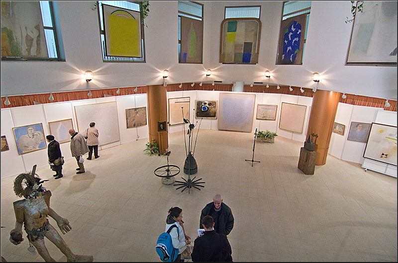 serbanvornicu_expoionnicodim_02