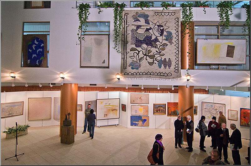 serbanvornicu_expoionnicodim_04