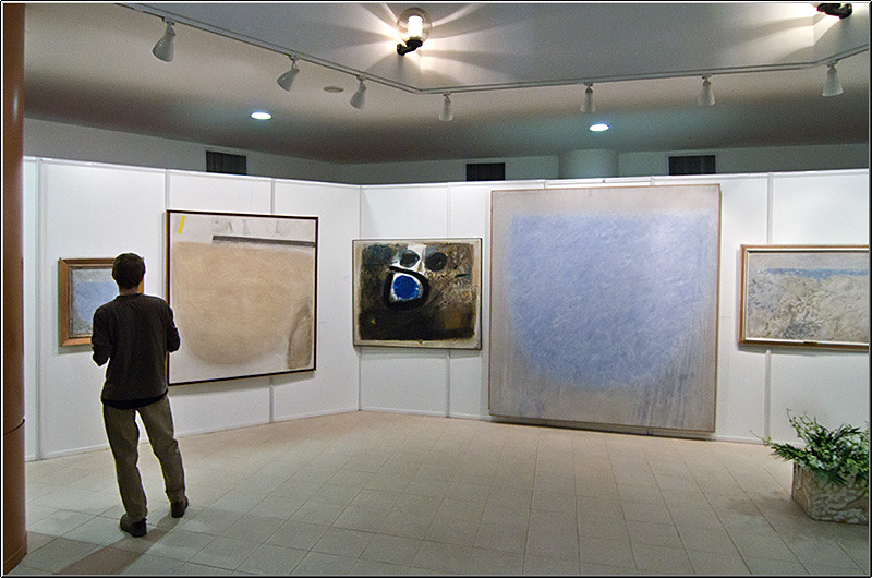 serbanvornicu_expoionnicodim_06