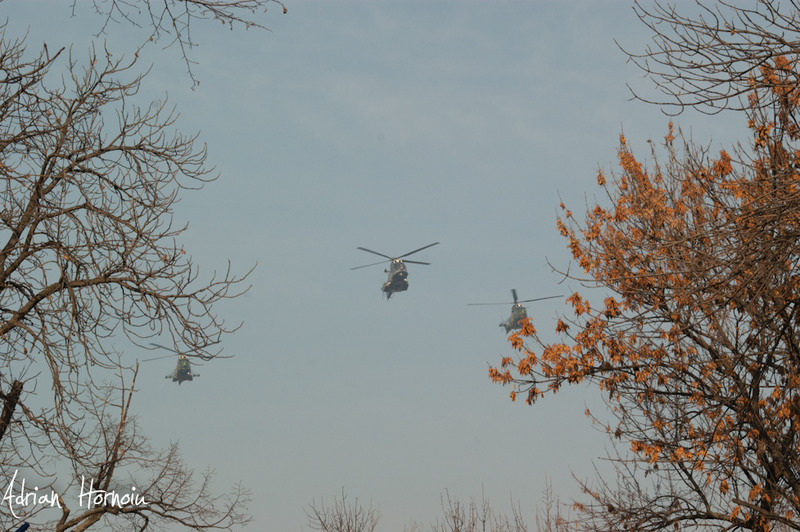 SONY A350  1/400 sec F/18 ISO 400 75 mm