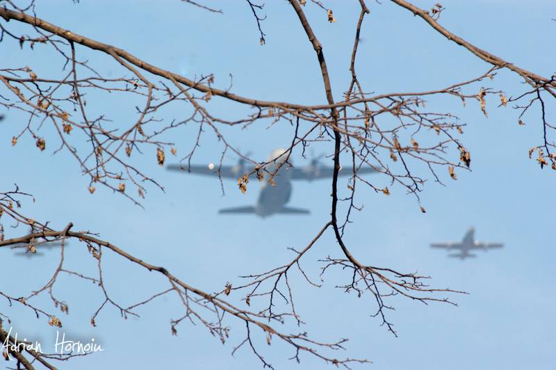 SONY A350  1/400 sec F/16 ISO 400 250 mm