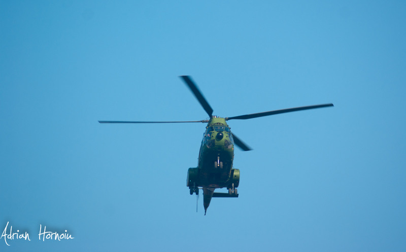 SONY A350  1/640 sec F/5.6 ISO 100 250 mm