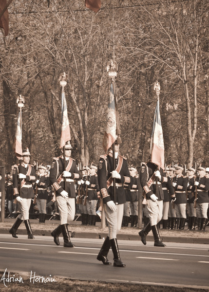 SONY A350  1/100 sec F/18 ISO 400 110 mm