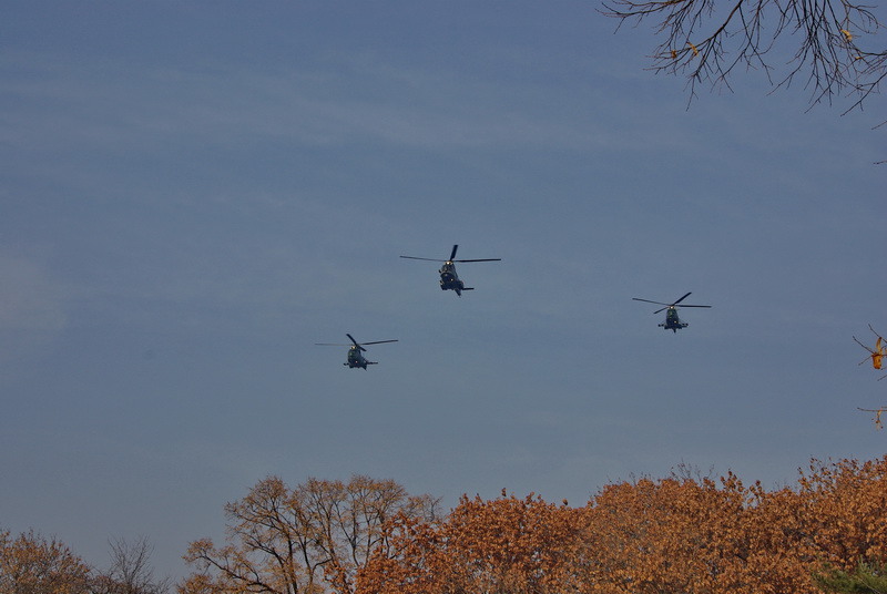 2011-12-01-11-30-35-imgp4074